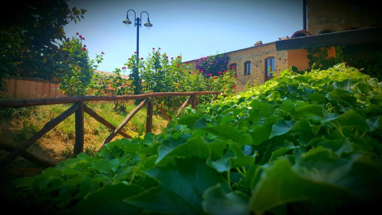 La Masseria LoliviaSenise エクステリア 写真